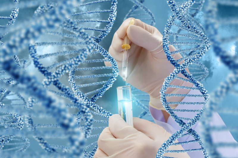 A hand with a test tube and the other holding a filler with sample on a DNA strands around indicating a DNA research done with a sample.