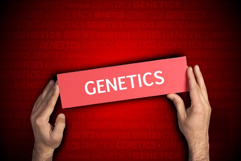 A person's hand holding a red block over a dark red background with the word GENETICS mentioned in it.