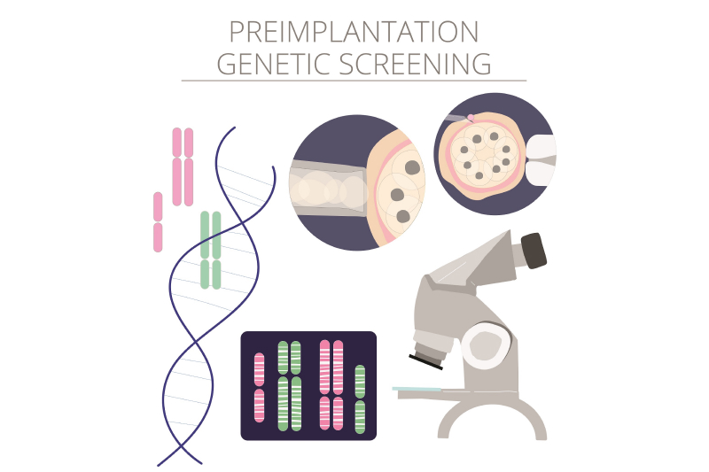 Vector image showing preimplantation genetic screening for ivf.