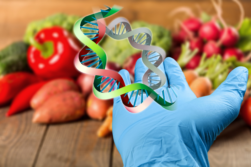 Image of a person's hand wearing a glove with DNA strands shown above the palm, and blurred images of nutritious fruits & vegetables displayed on a wooden table at the background.