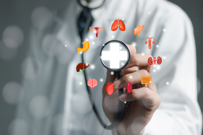 A doctor presents a close-up view of the stethoscope's chest piece, surrounded by vector images of the brain, heart, lungs, liver, kidneys, intestines, bladder, and digestive system.