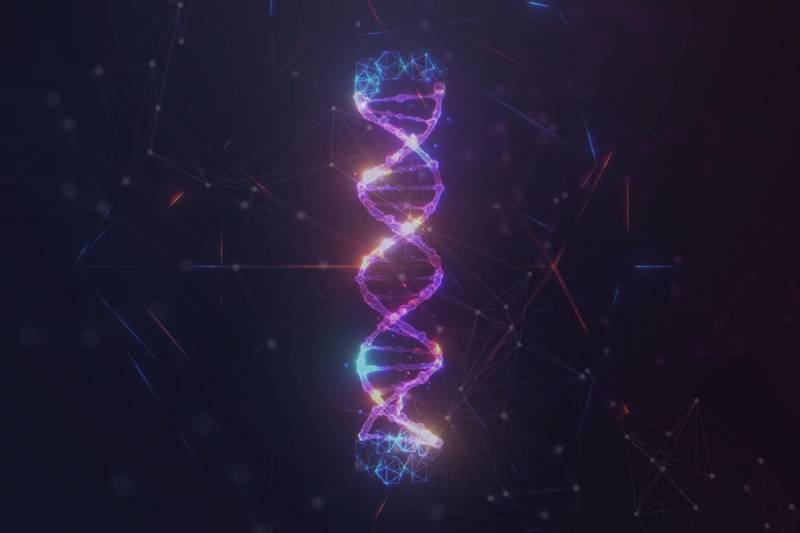 A digital DNA image of Human.