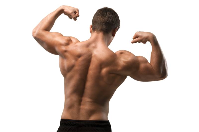 Rear view of a body builder flexing his biceps.