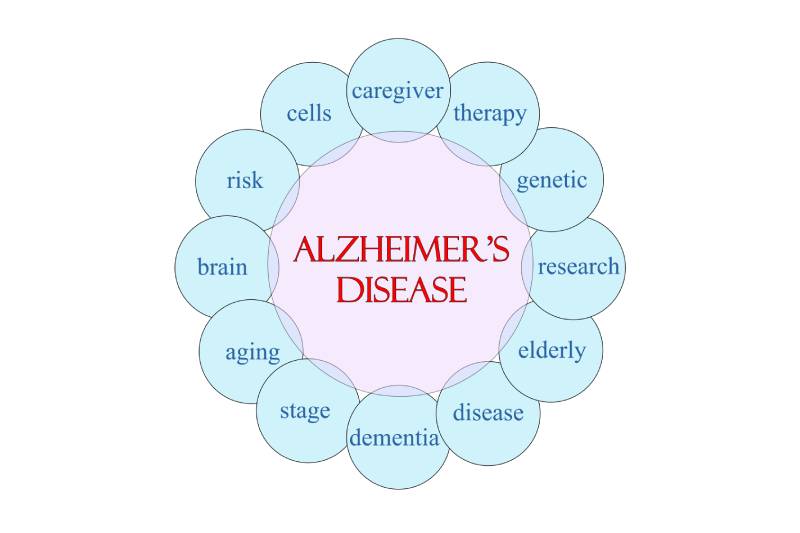 A circular diagram with the term alzheimer's disease mentioned in the middle with related terms mentioned around.