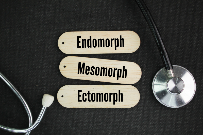 Wooden labels of body types Endomorph, Mesomorph, and Ectomorph near a stethoscope on a black background.