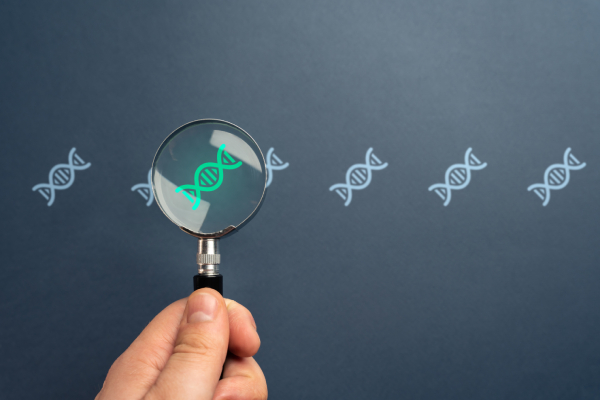 A person holding a magnifying glass over a DNA strand, representing genome research among multiple DNA symbols.