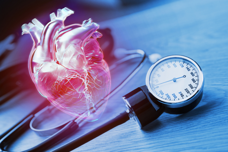 Human heart model with red wine glasses, highlighting the link between alcohol consumption and heart and liver damage.